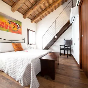 https://locanda-righetto.hotelslidodijesolo.com